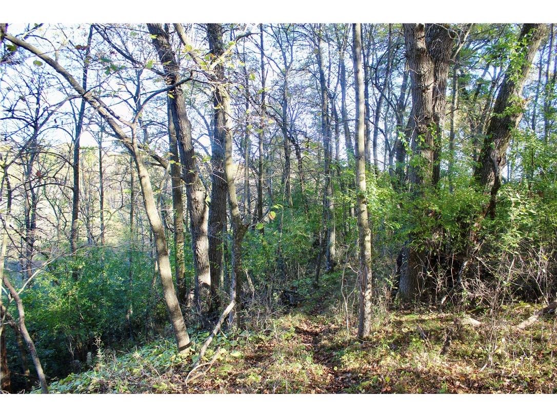 0 S Lowes Creek Rd Road Eau Claire WI 54701 - LOWES CREEK 1596478 image54