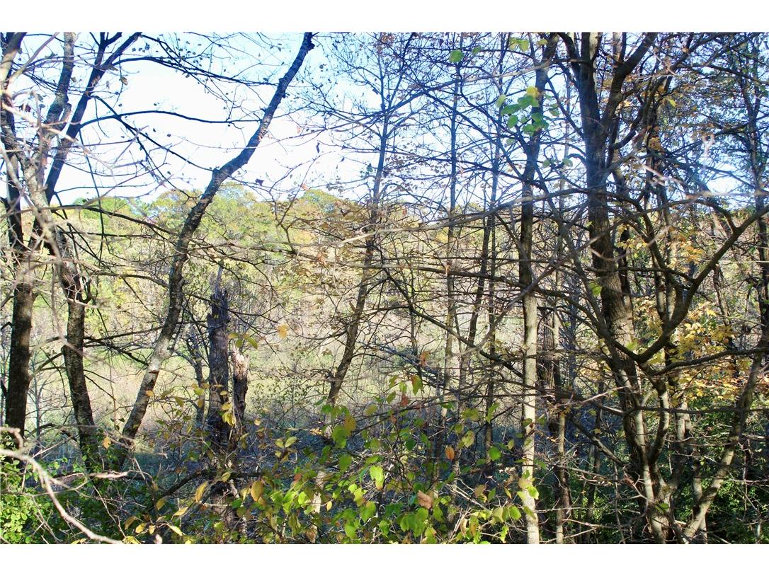 0 S Lowes Creek Rd Road Eau Claire WI 54701 - LOWES CREEK 1596478 image57