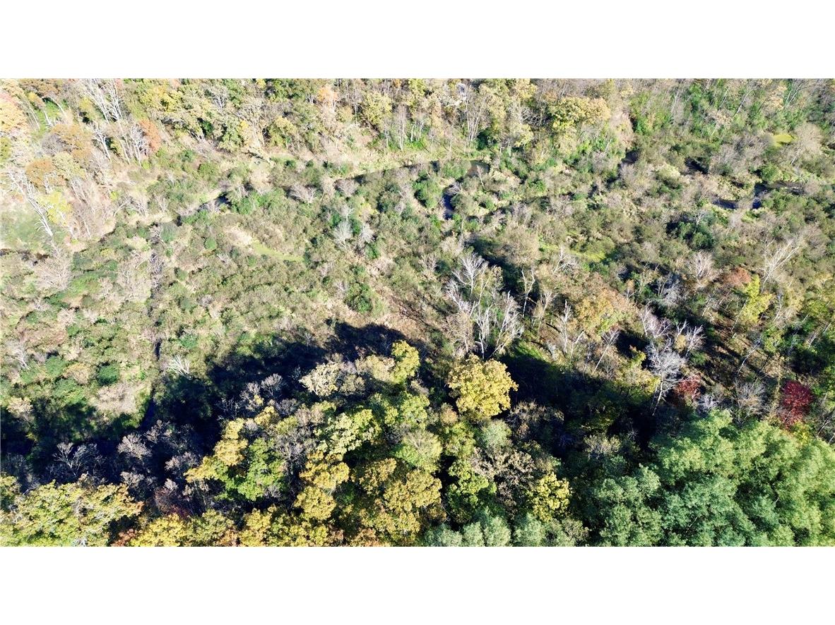 0 S Lowes Creek Rd Road Eau Claire WI 54701 - LOWES CREEK 1596478 image6