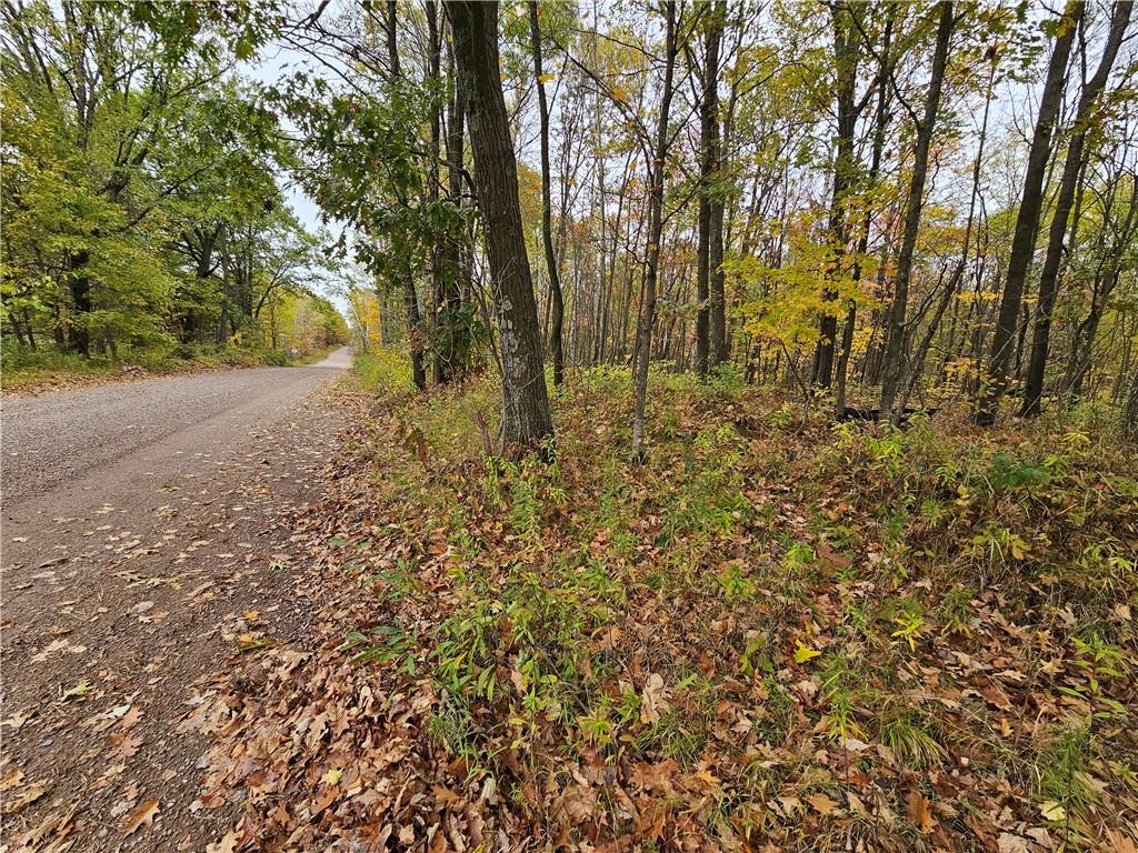 0 Sheep Camp Road Holcombe WI 54745 1577835 image1