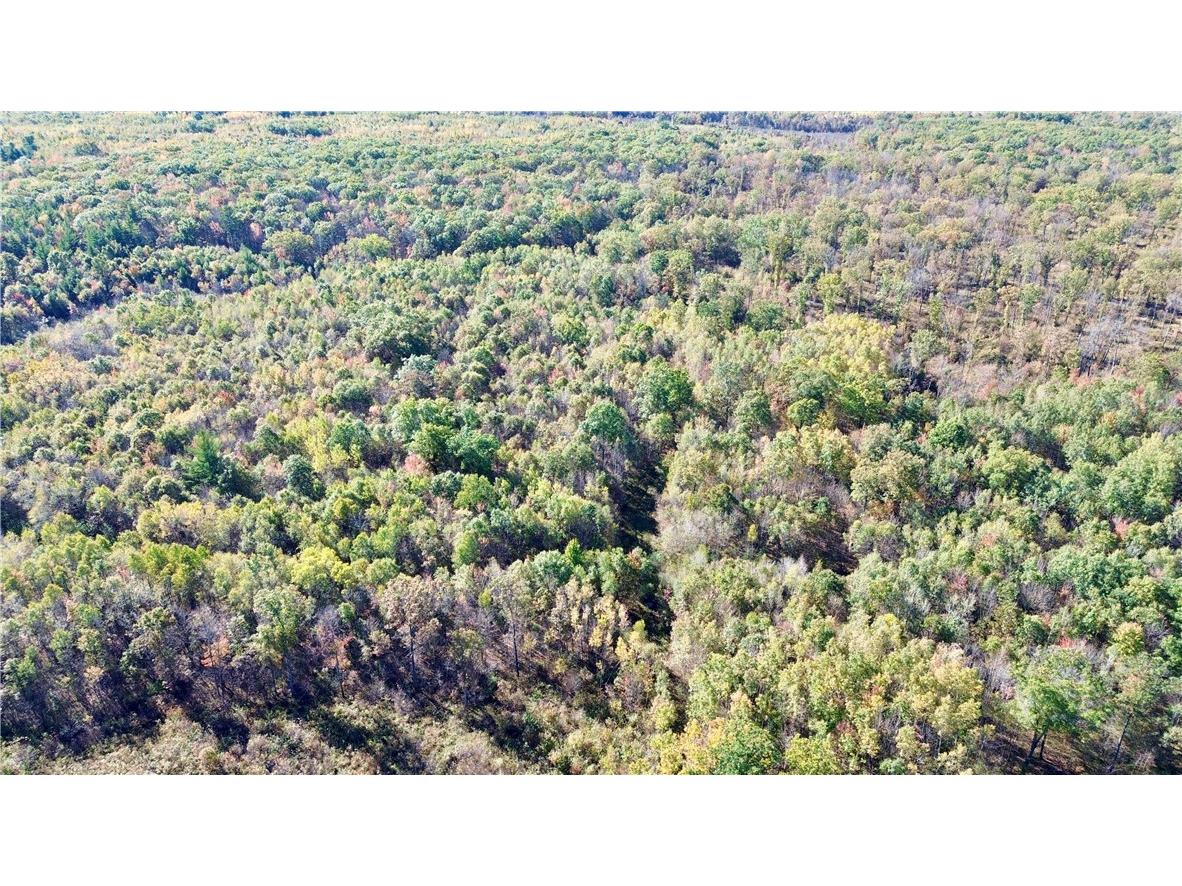 0 Sherwood Road Pittsville WI 54466 1596282 image1