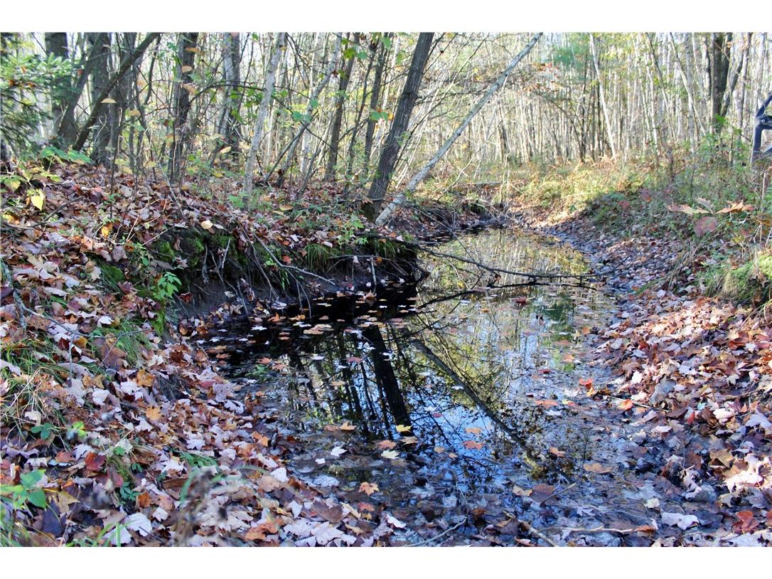 0 Sherwood Road Pittsville WI 54466 1596282 image11