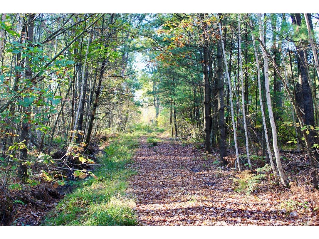 0 Sherwood Road Pittsville WI 54466 1596282 image14