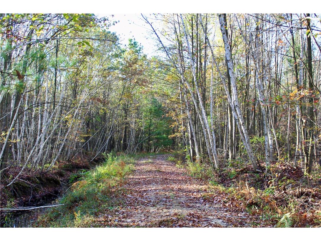 0 Sherwood Road Pittsville WI 54466 1596282 image15