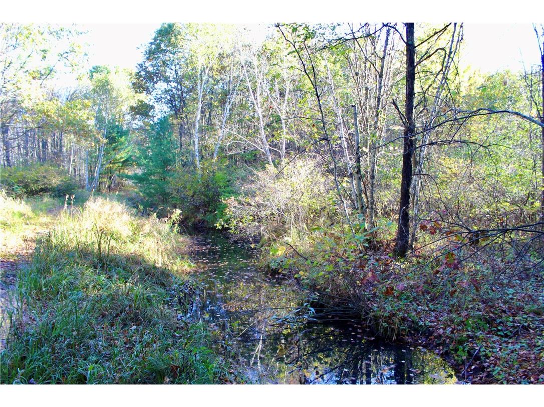 0 Sherwood Road Pittsville WI 54466 1596282 image16