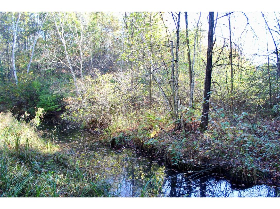 0 Sherwood Road Pittsville WI 54466 1596282 image17