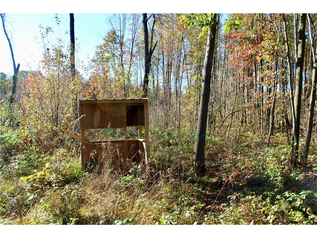 0 Sherwood Road Pittsville WI 54466 1596282 image18