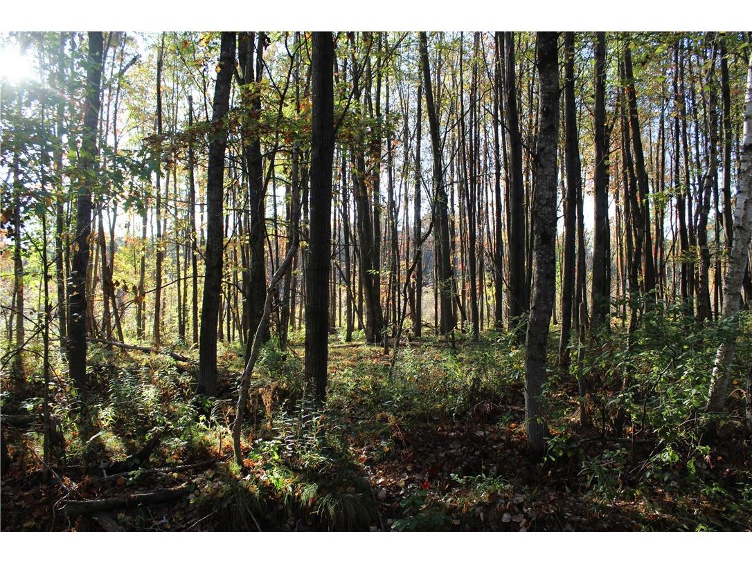 0 Sherwood Road Pittsville WI 54466 1596282 image19