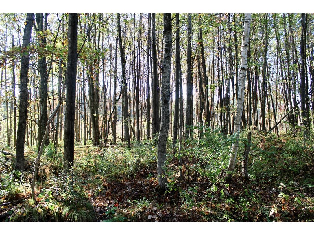 0 Sherwood Road Pittsville WI 54466 1596282 image20