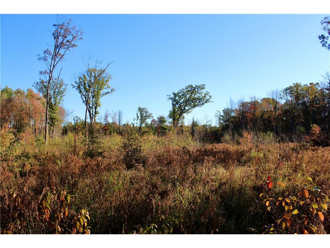 0 Sherwood Road Pittsville WI 54466 1596282 image21