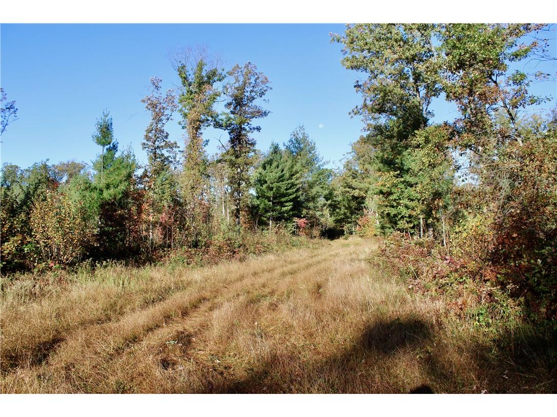 0 Sherwood Road Pittsville WI 54466 1596282 image23