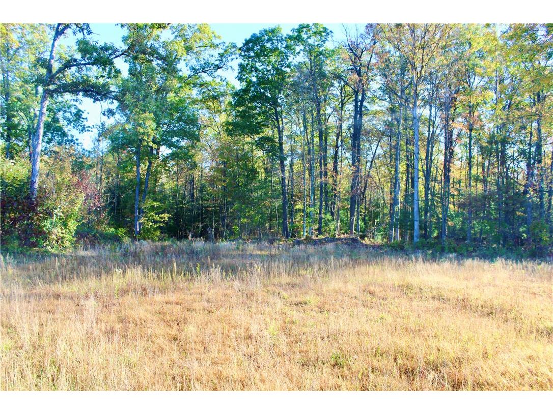 0 Sherwood Road Pittsville WI 54466 1596282 image24