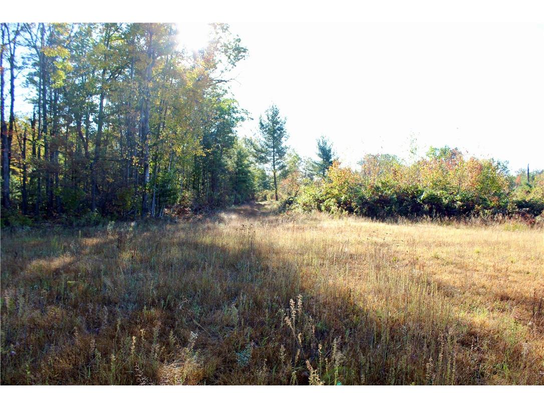 0 Sherwood Road Pittsville WI 54466 1596282 image25