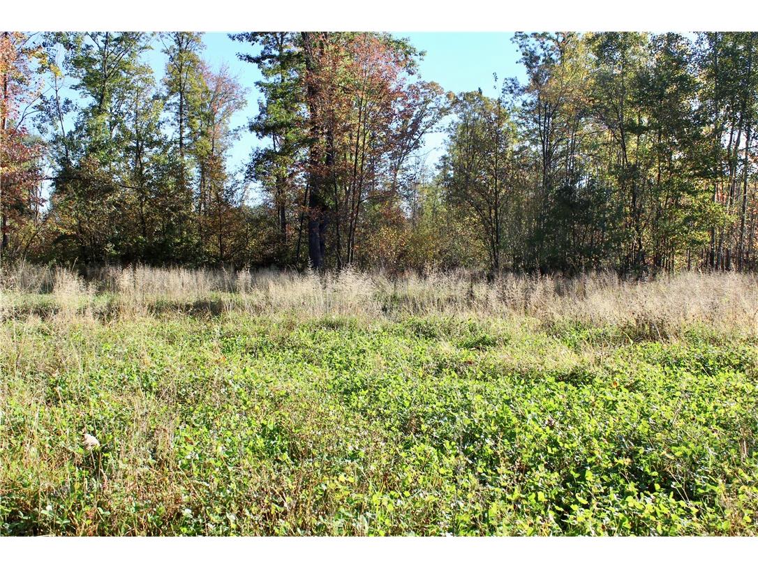 0 Sherwood Road Pittsville WI 54466 1596282 image26