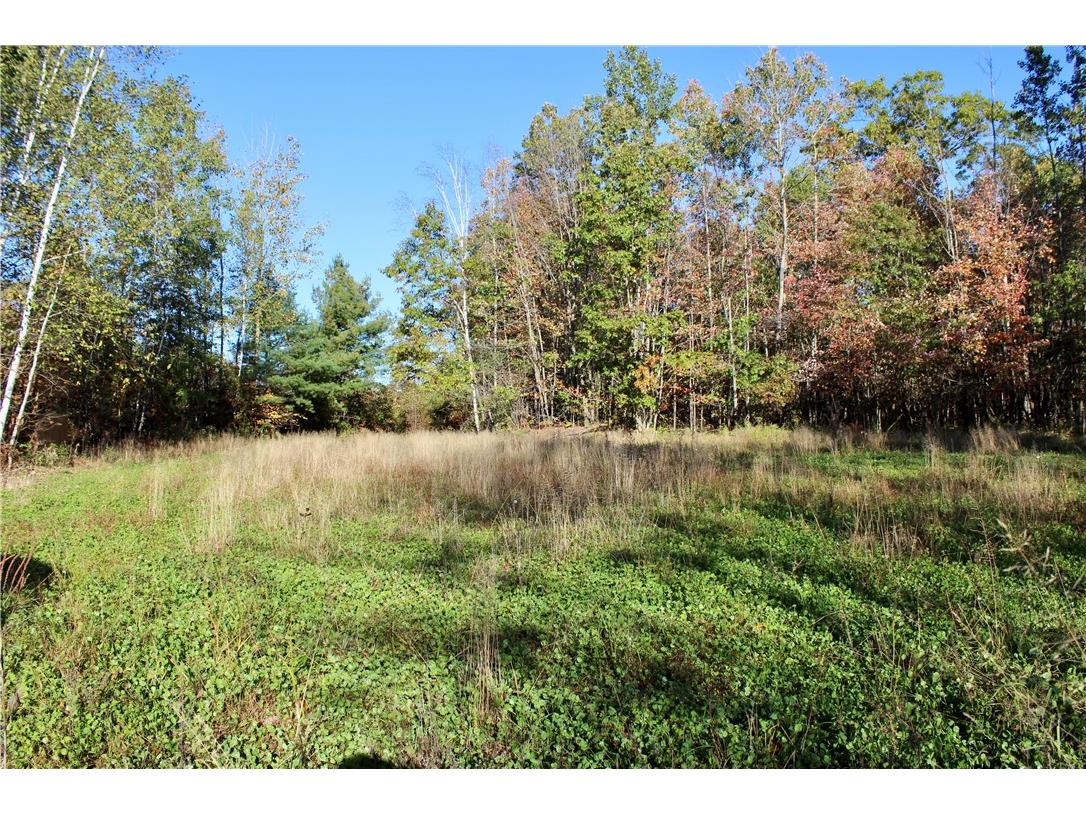 0 Sherwood Road Pittsville WI 54466 1596282 image28