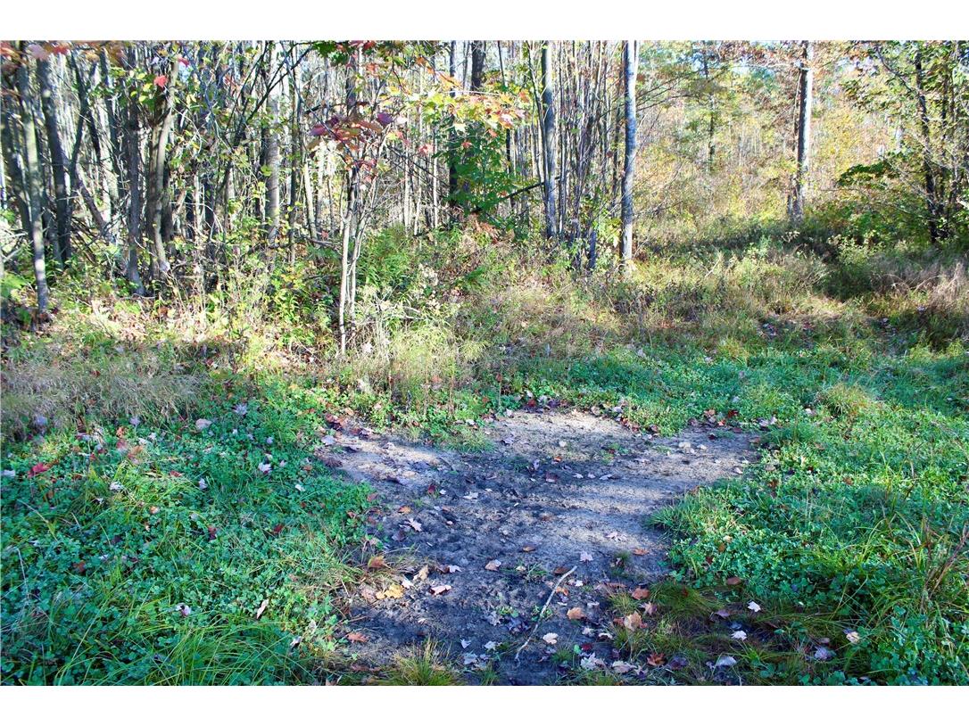 0 Sherwood Road Pittsville WI 54466 1596282 image29