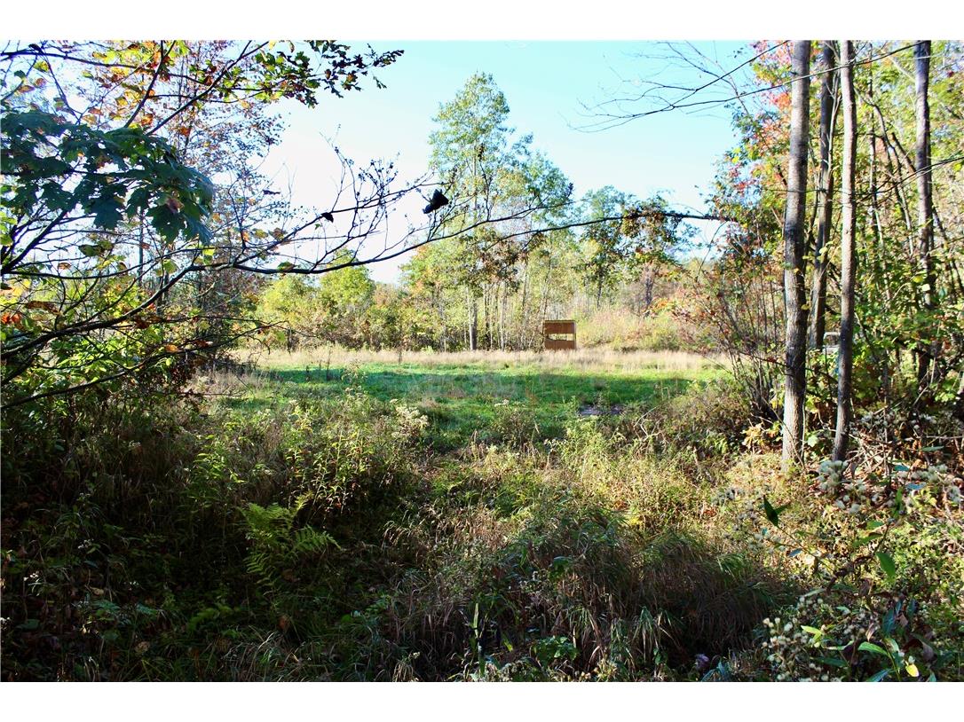 0 Sherwood Road Pittsville WI 54466 1596282 image30