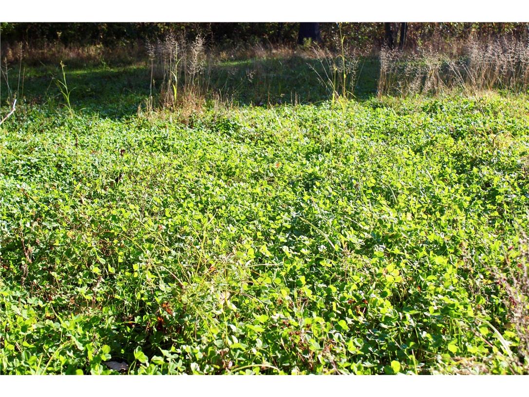 0 Sherwood Road Pittsville WI 54466 1596282 image31