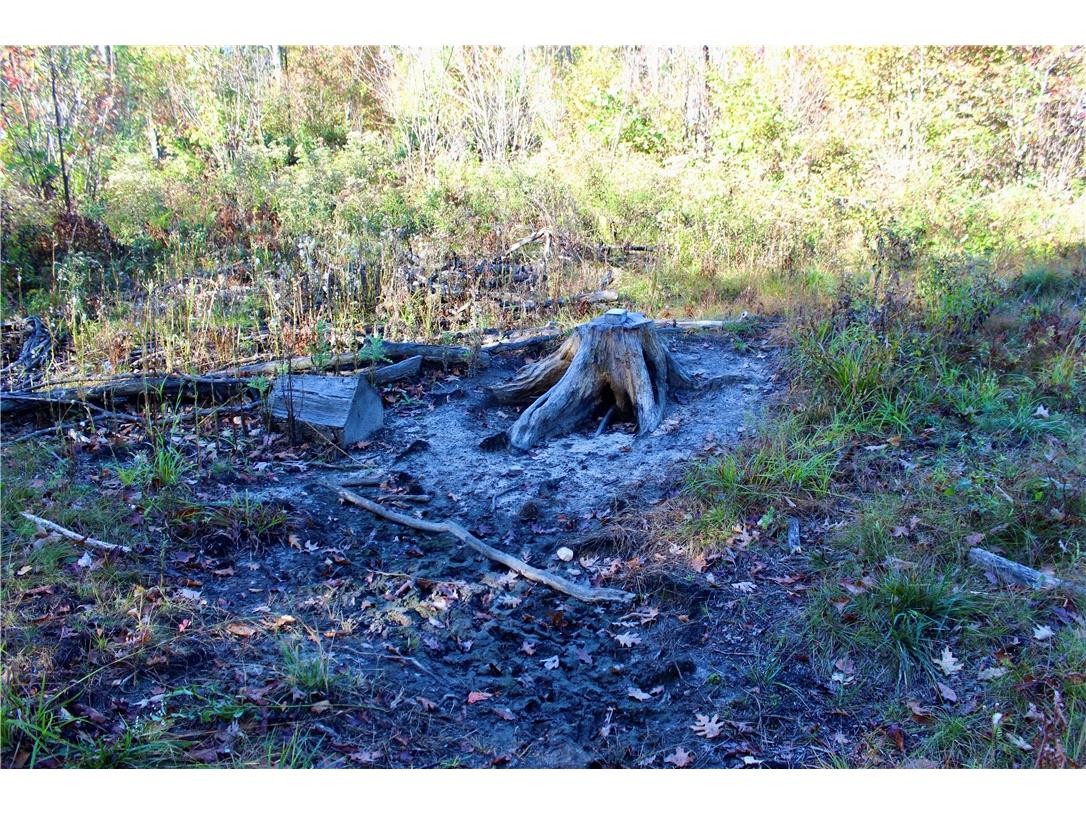 0 Sherwood Road Pittsville WI 54466 1596282 image32