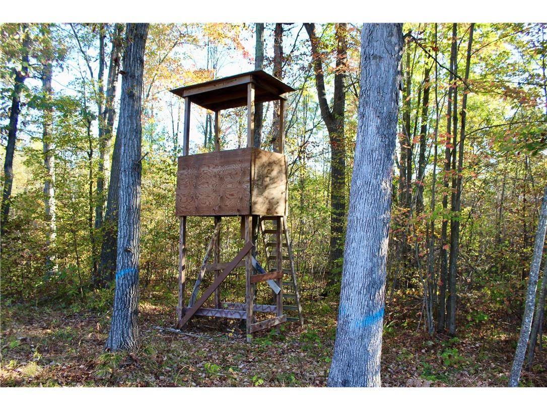 0 Sherwood Road Pittsville WI 54466 1596282 image33