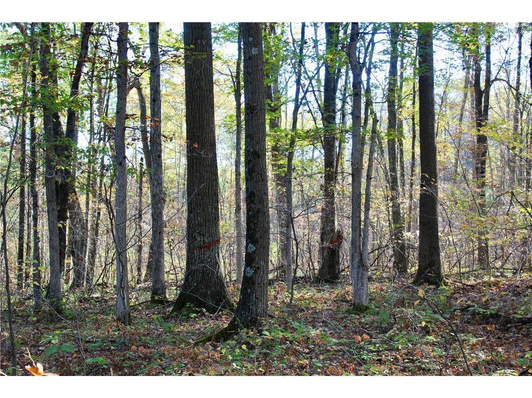 0 Sherwood Road Pittsville WI 54466 1596282 image34