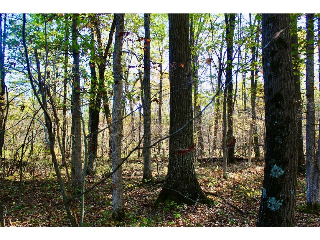 0 Sherwood Road Pittsville WI 54466 1596282 image35