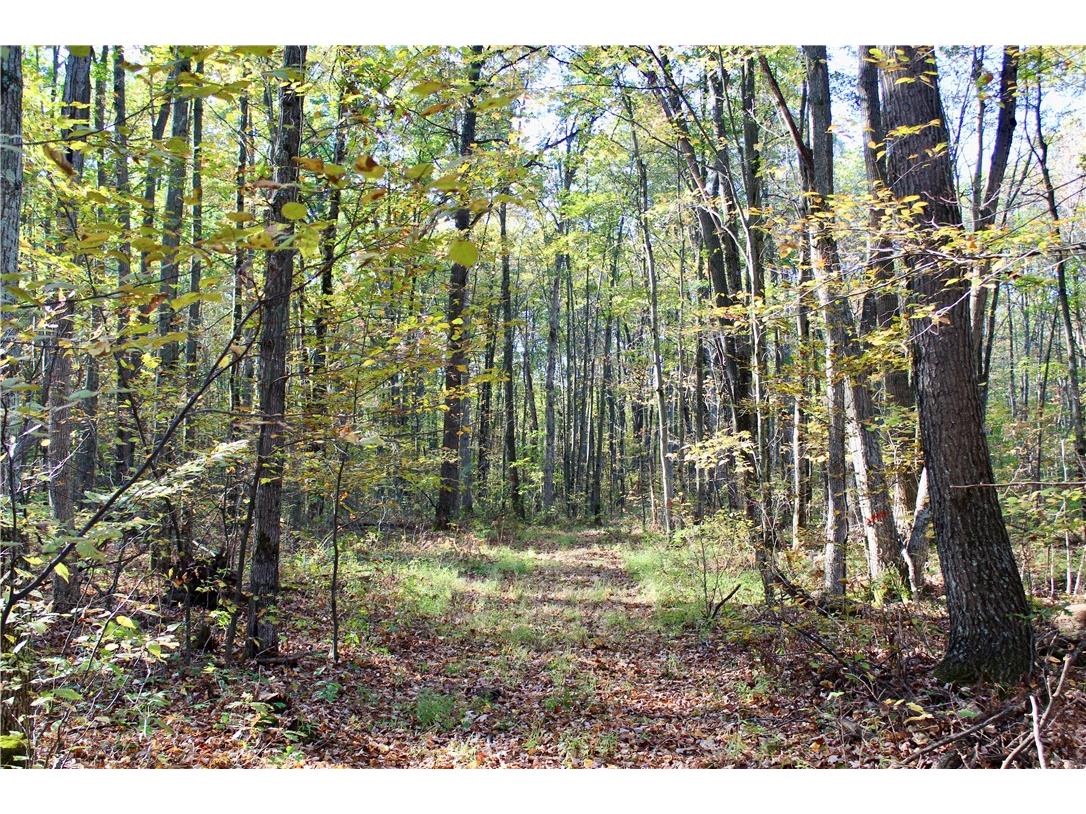 0 Sherwood Road Pittsville WI 54466 1596282 image36