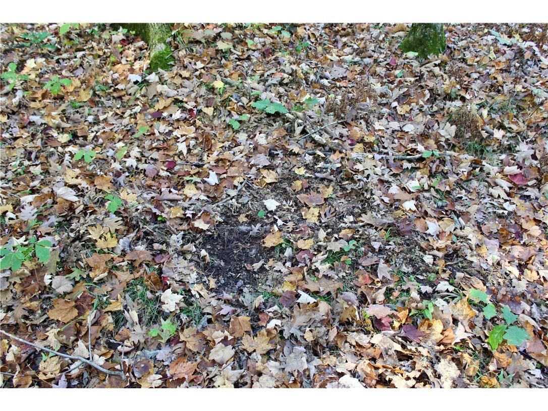 0 Sherwood Road Pittsville WI 54466 1596282 image37