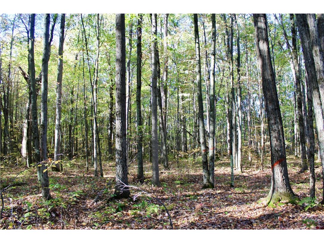 0 Sherwood Road Pittsville WI 54466 1596282 image38