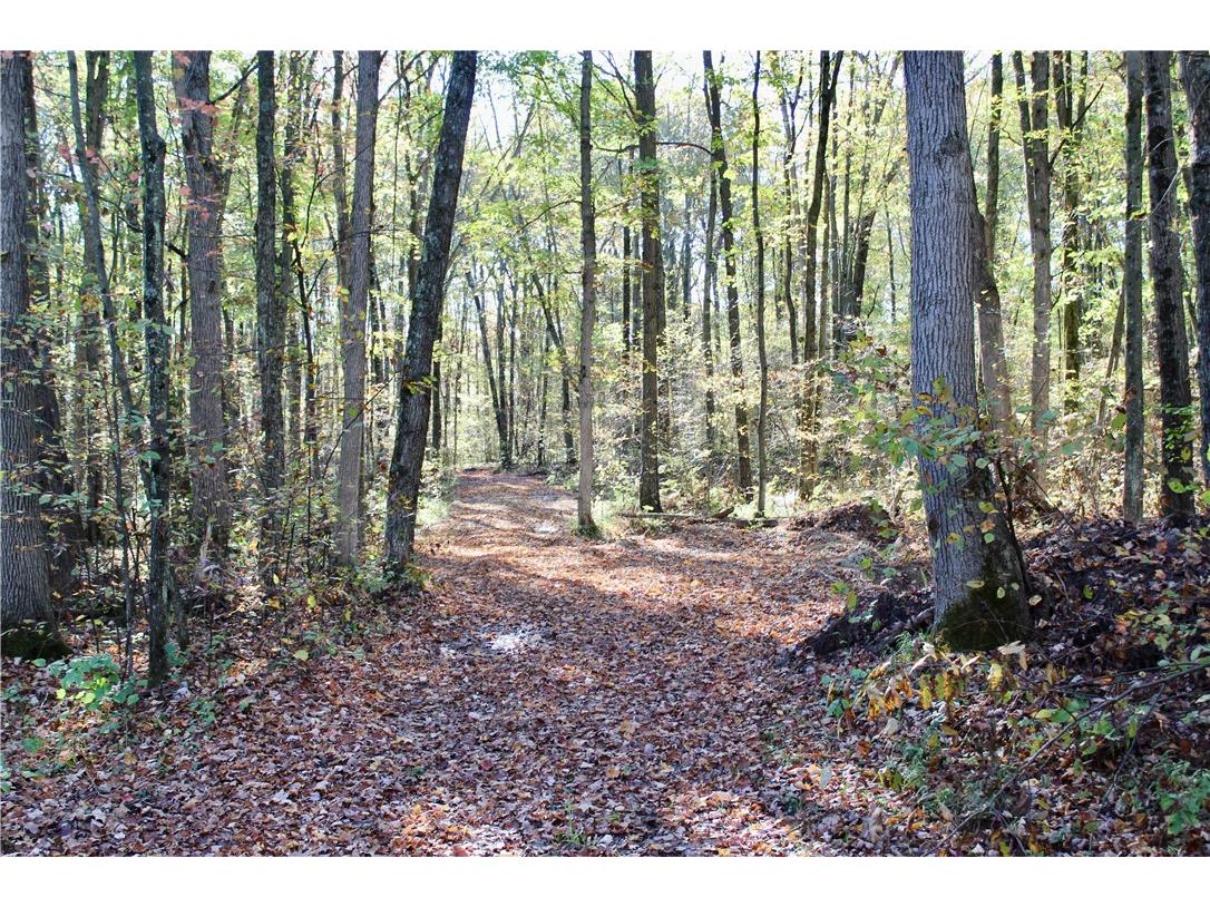 0 Sherwood Road Pittsville WI 54466 1596282 image39