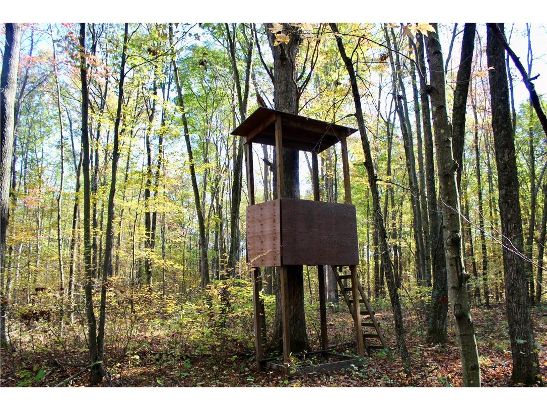 0 Sherwood Road Pittsville WI 54466 1596282 image40