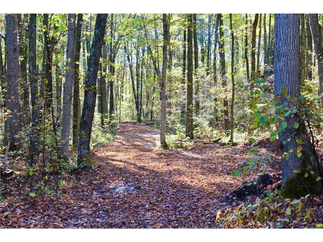 0 Sherwood Road Pittsville WI 54466 1596282 image41