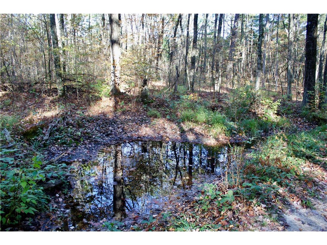 0 Sherwood Road Pittsville WI 54466 1596282 image42