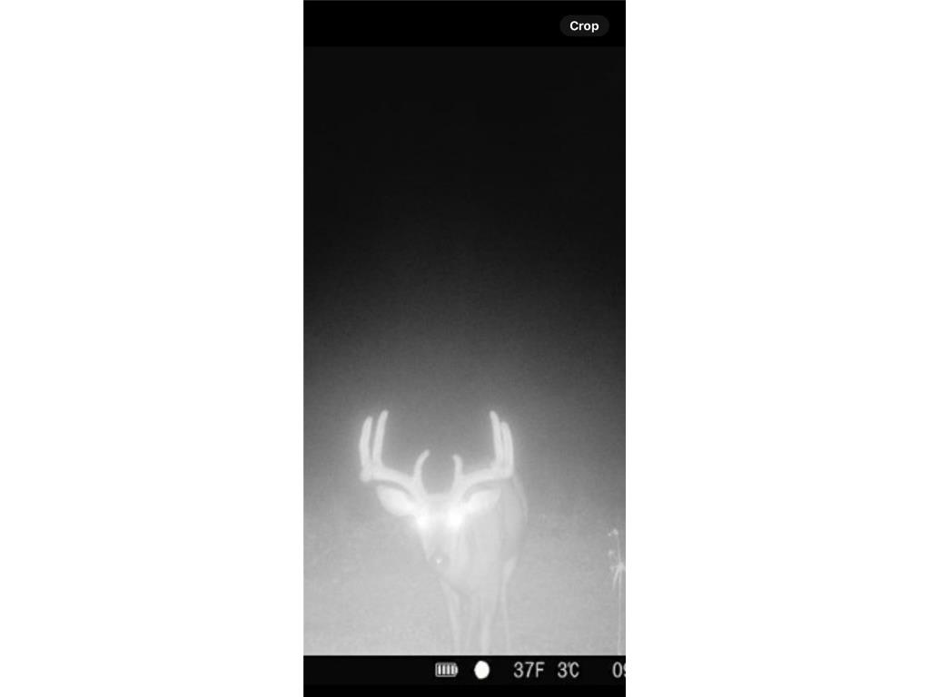 0 Sherwood Road Pittsville WI 54466 1596282 image45