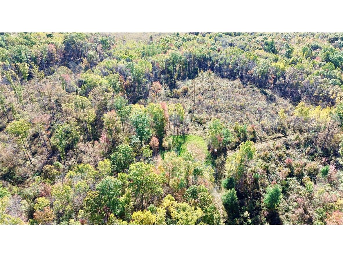 0 Sherwood Road Pittsville WI 54466 1596282 image5