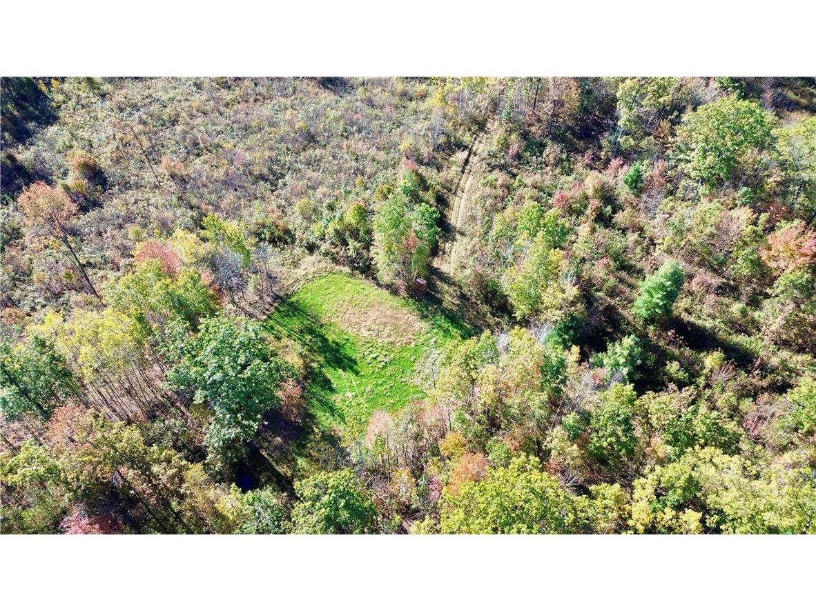 0 Sherwood Road Pittsville WI 54466 1596282 image6