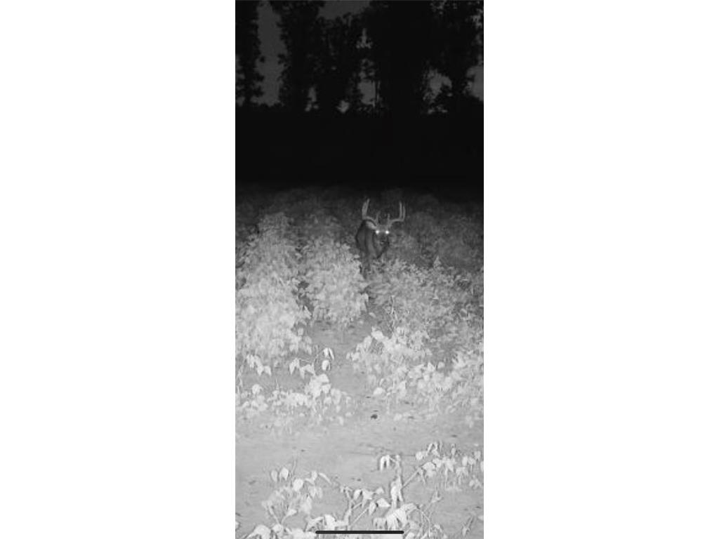 0 Sherwood Road Pittsville WI 54466 1598139 image33