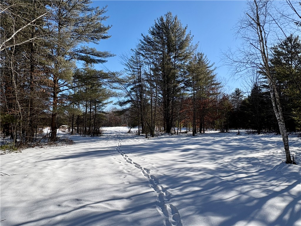 0 Sherwood Road Pittsville WI 54466 1598139 image36