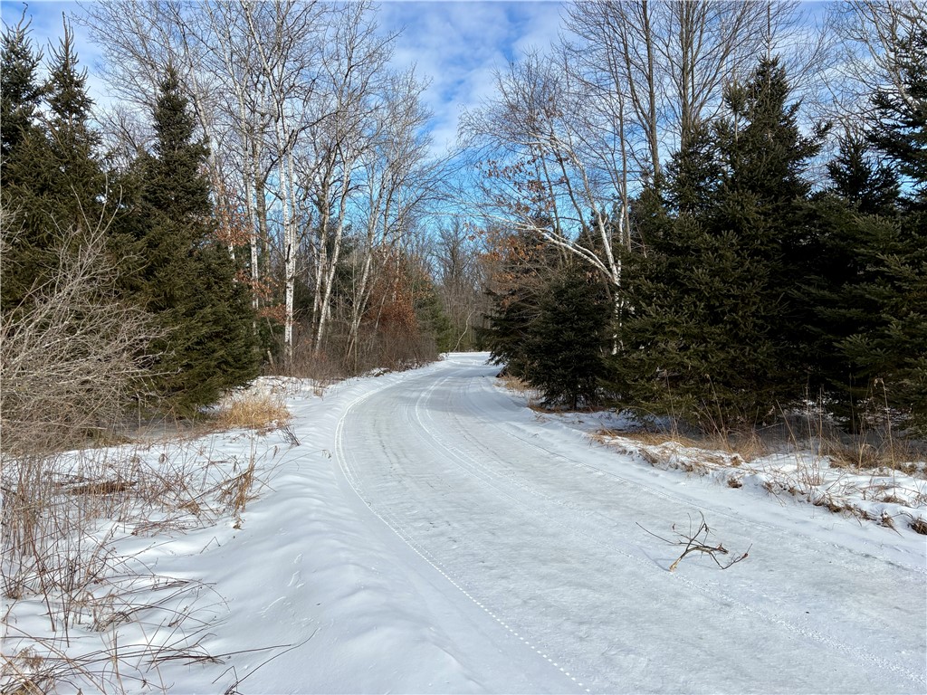 0 Sherwood Road Pittsville WI 54466 1598139 image39
