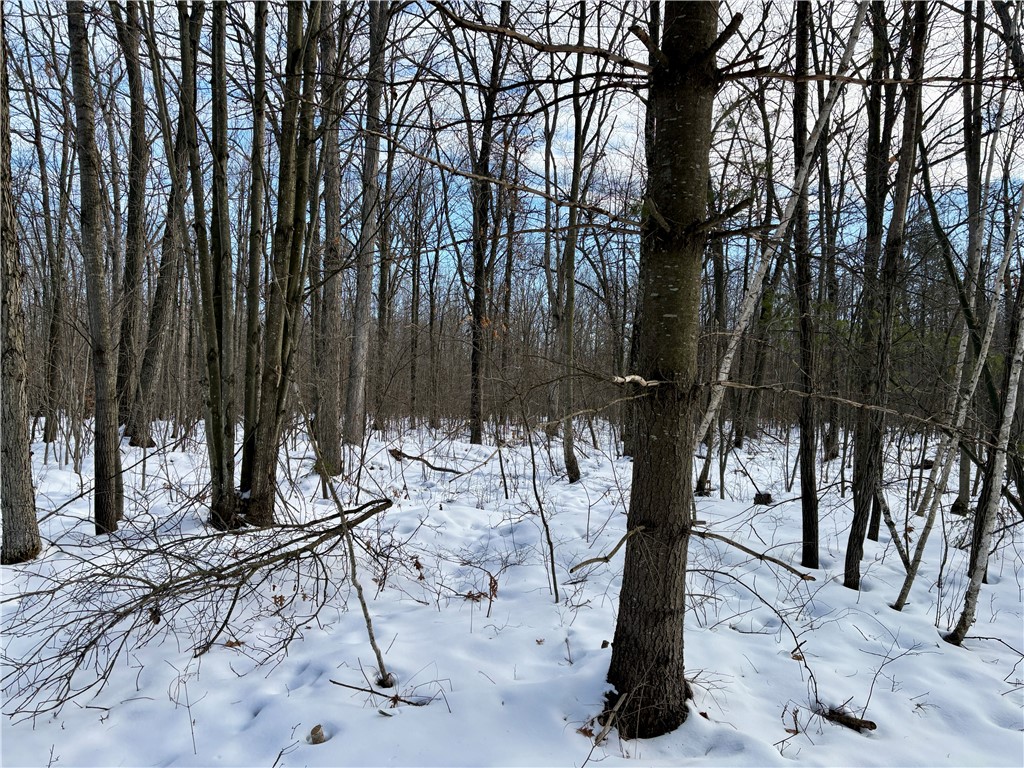 0 Sherwood Road Pittsville WI 54466 1598139 image42