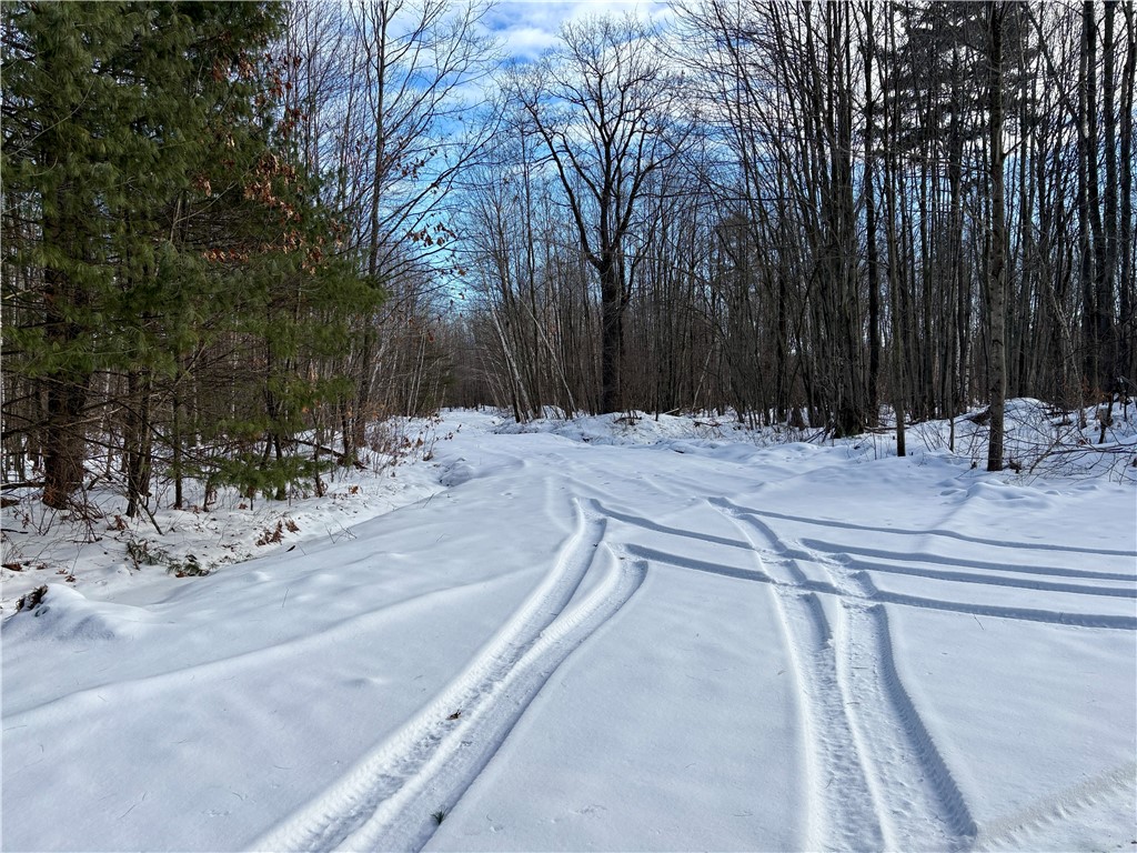 0 Sherwood Road Pittsville WI 54466 1598139 image44