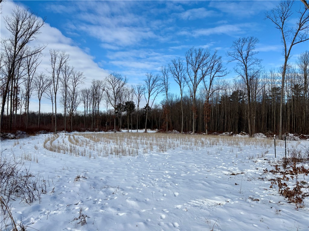 0 Sherwood Road Pittsville WI 54466 1598139 image46
