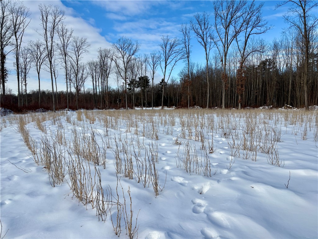 0 Sherwood Road Pittsville WI 54466 1598139 image47