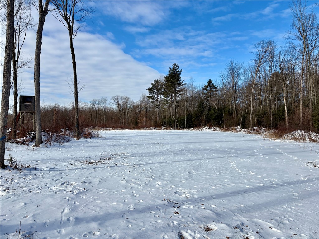 0 Sherwood Road Pittsville WI 54466 1598139 image48