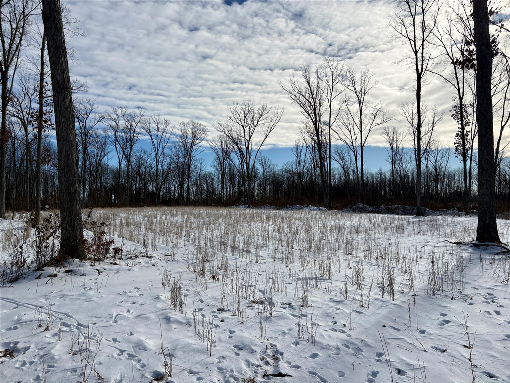 0 Sherwood Road Pittsville WI 54466 1598139 image49