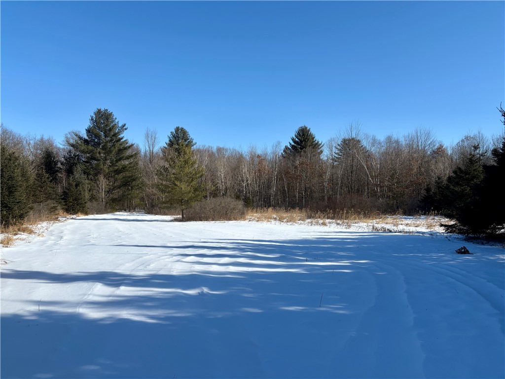0 Sherwood Road Pittsville WI 54466 1598139 image58
