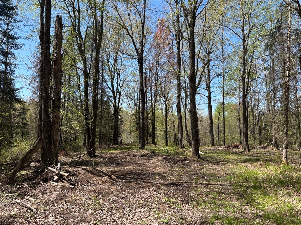 0 Smith Road Exeland WI 54835 1591596 image1