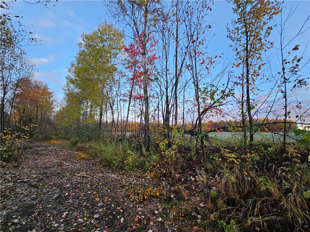 0 Spring Creek Road Hawkins WI 54530 1586649 image1