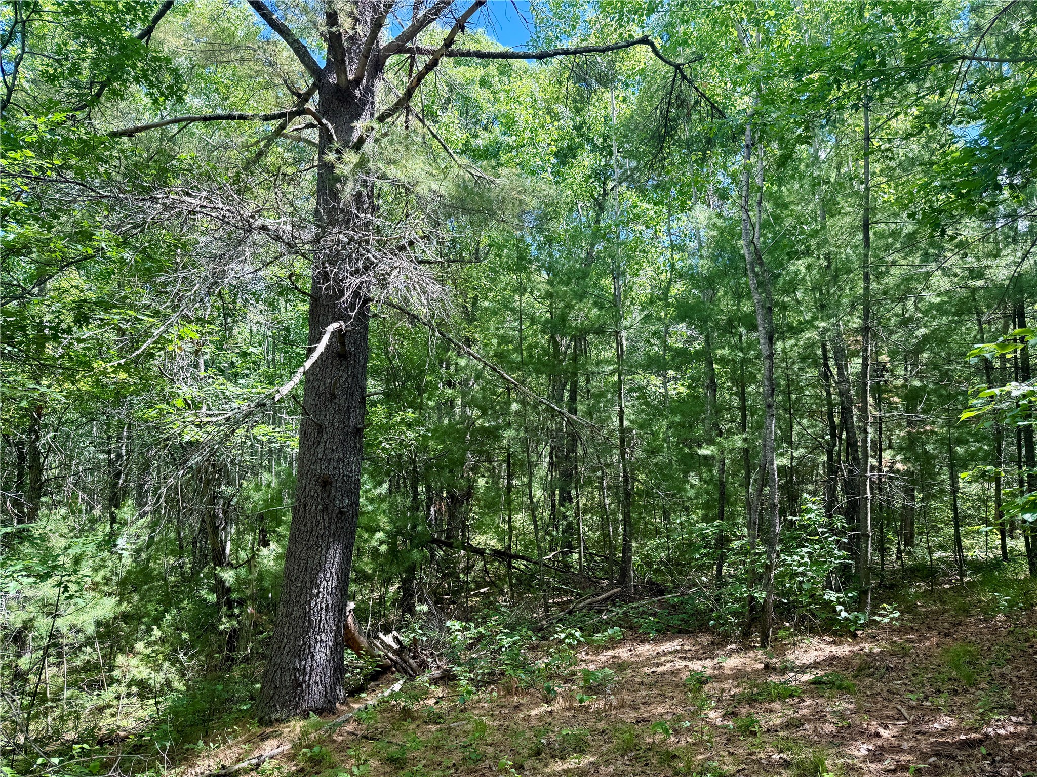 0 St Croix Trail Minong WI 54859 1602480 image10