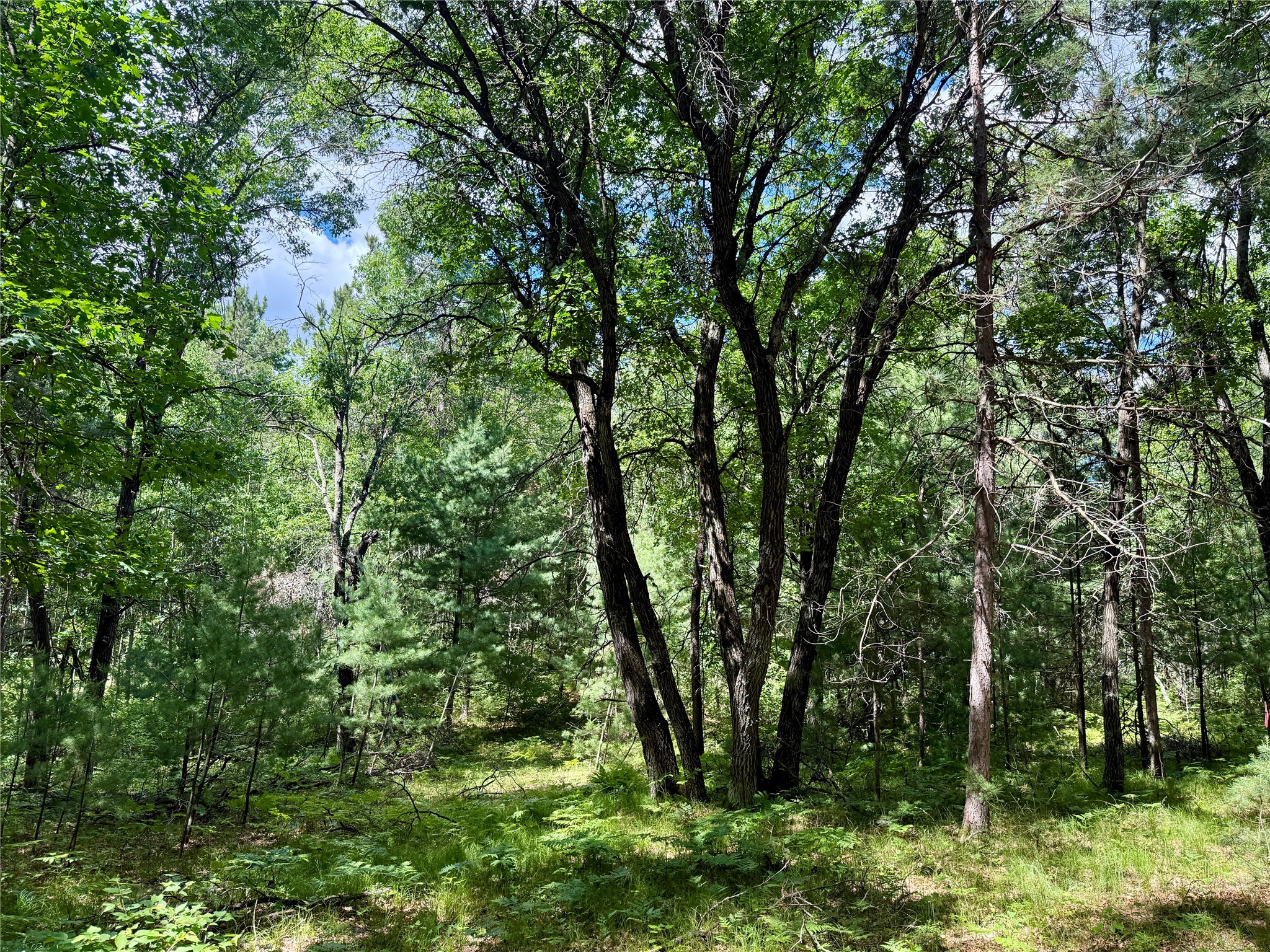 0 St Croix Trail Minong WI 54859 1602480 image11